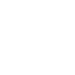 1 flesh in ✝
